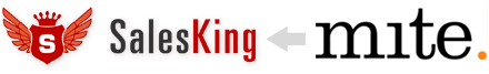 SalesKing feat. mite